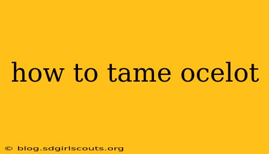 how to tame ocelot