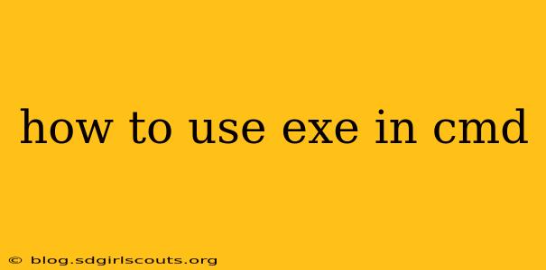 how to use exe in cmd