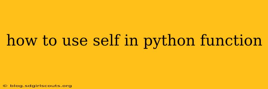 how to use self in python function