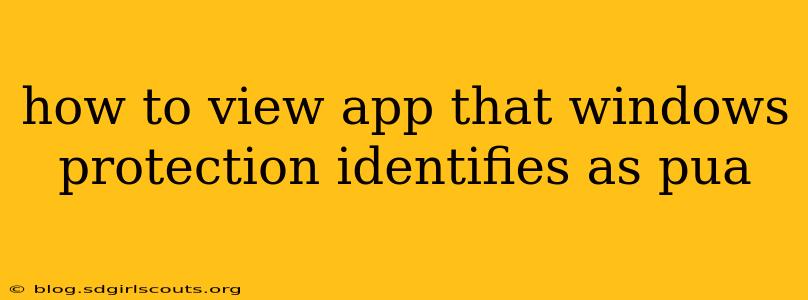 how to view app that windows protection identifies as pua