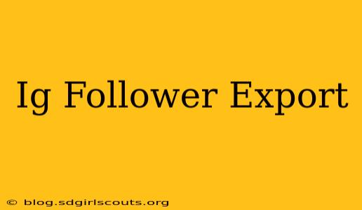 Ig Follower Export