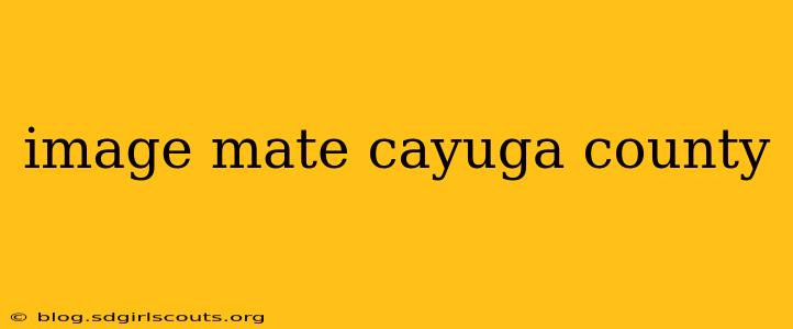 image mate cayuga county