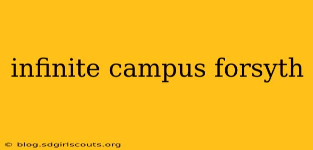 infinite campus forsyth