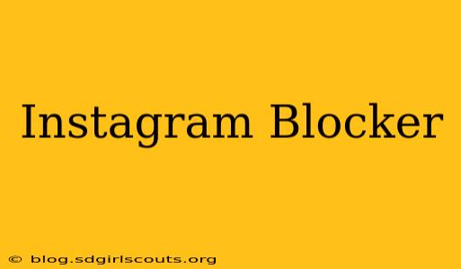 Instagram Blocker