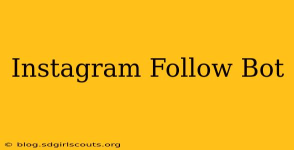 Instagram Follow Bot