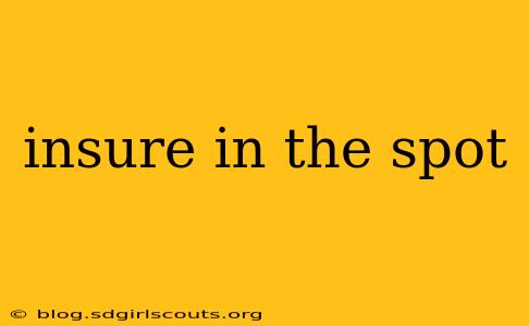 insure in the spot