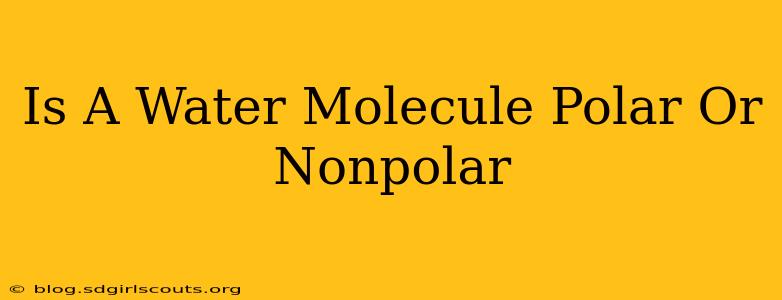 Is A Water Molecule Polar Or Nonpolar
