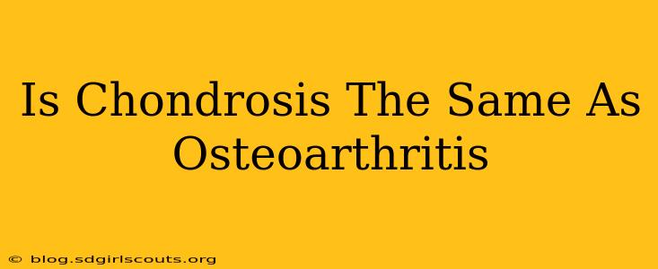 Is Chondrosis The Same As Osteoarthritis