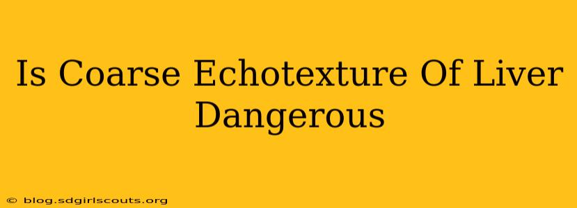 Is Coarse Echotexture Of Liver Dangerous