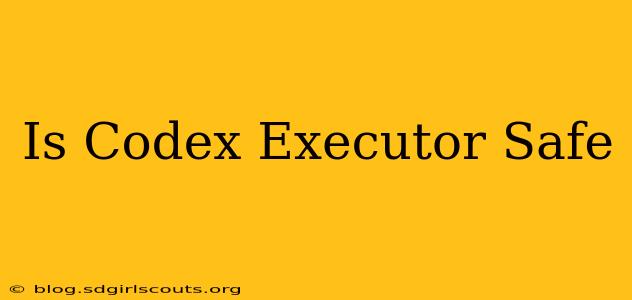 Is Codex Executor Safe
