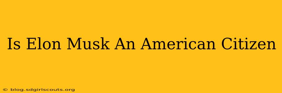 Is Elon Musk An American Citizen