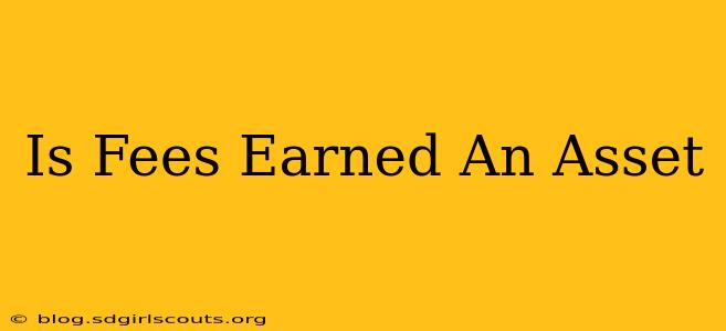 Is Fees Earned An Asset