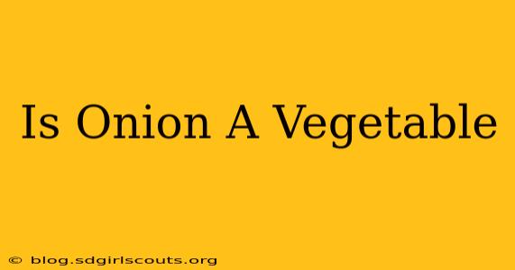 Is Onion A Vegetable