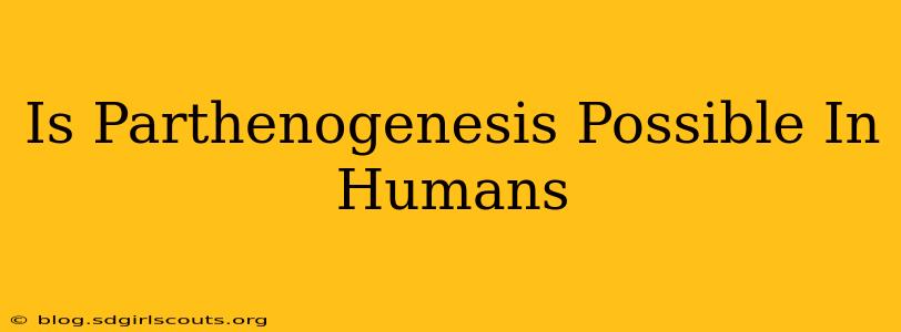 Is Parthenogenesis Possible In Humans