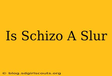 Is Schizo A Slur