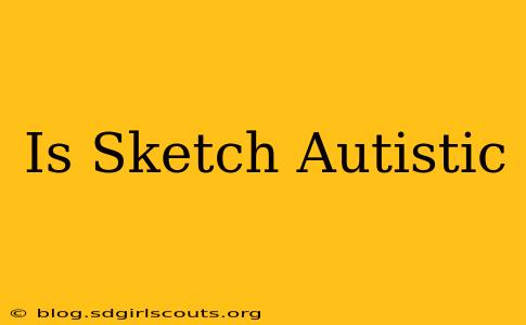 Is Sketch Autistic