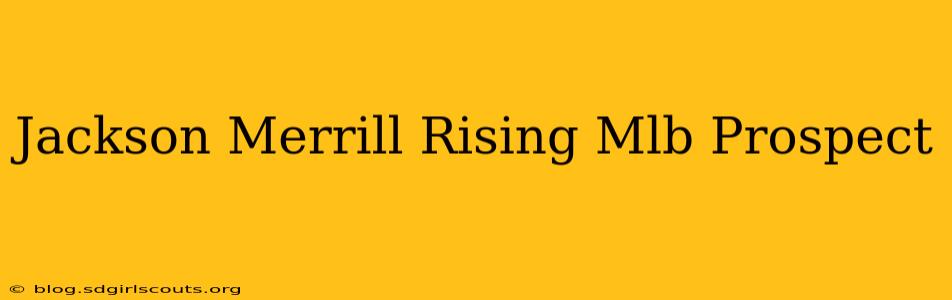 Jackson Merrill Rising Mlb Prospect