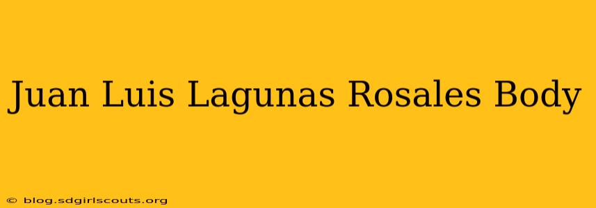 Juan Luis Lagunas Rosales Body