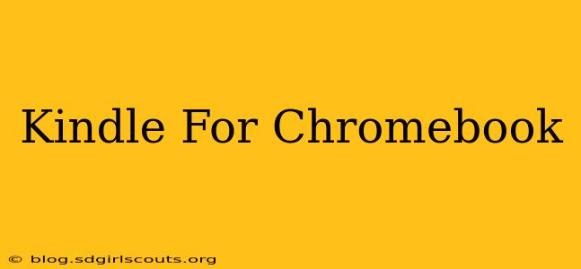 Kindle For Chromebook
