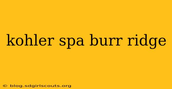 kohler spa burr ridge