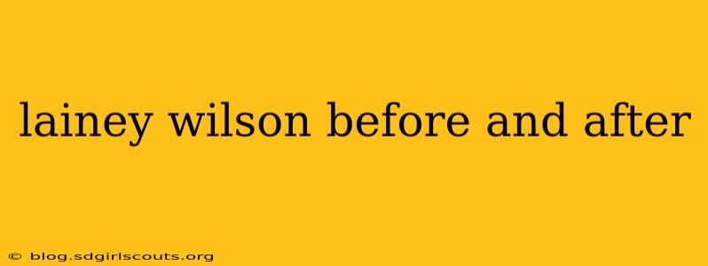 lainey wilson before and after