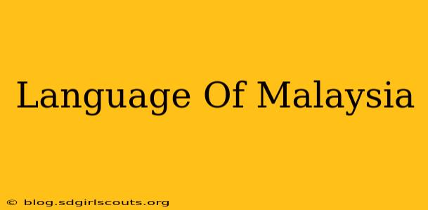Language Of Malaysia
