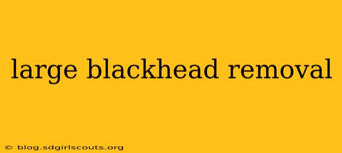 large blackhead removal
