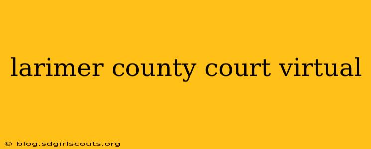 larimer county court virtual