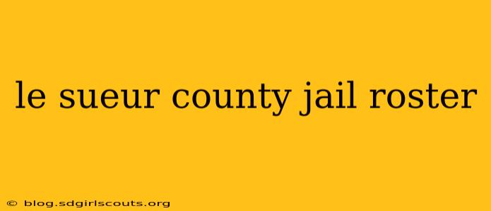 le sueur county jail roster