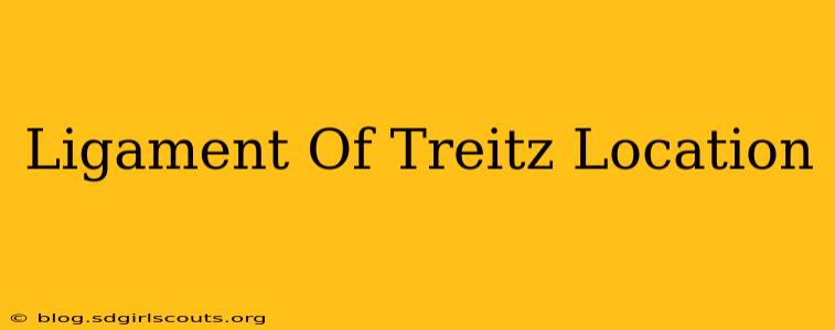 Ligament Of Treitz Location