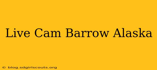Live Cam Barrow Alaska