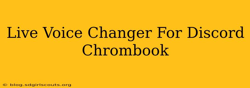 Live Voice Changer For Discord Chrombook