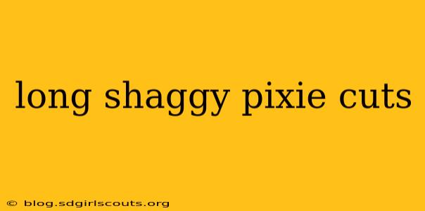 long shaggy pixie cuts
