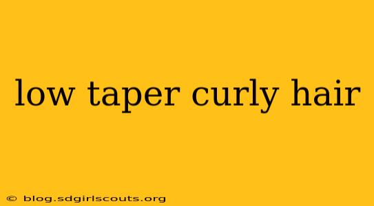 low taper curly hair