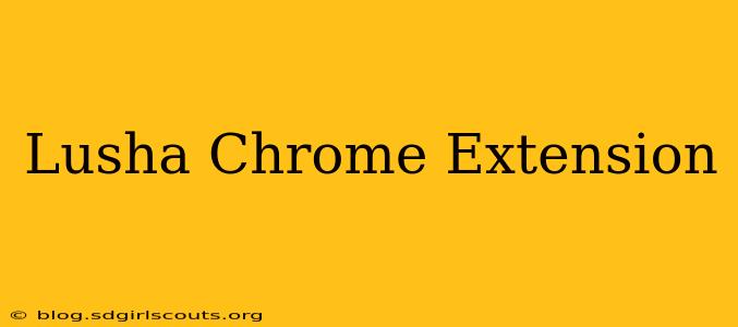 Lusha Chrome Extension