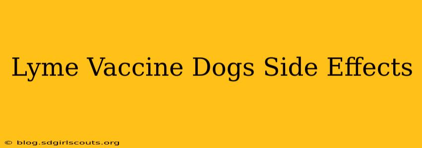Lyme Vaccine Dogs Side Effects