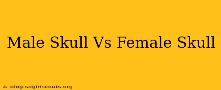 Male Skull Vs Female Skull