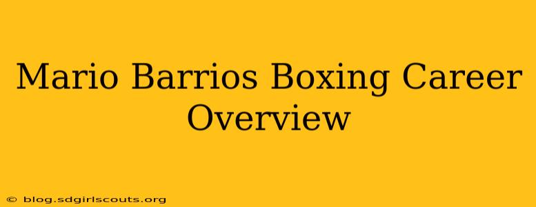 Mario Barrios Boxing Career Overview