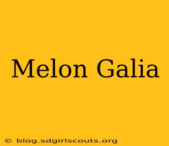 Melon Galia