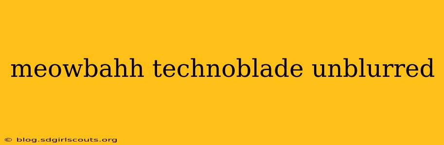 meowbahh technoblade unblurred