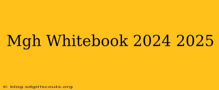 Mgh Whitebook 2024 2025