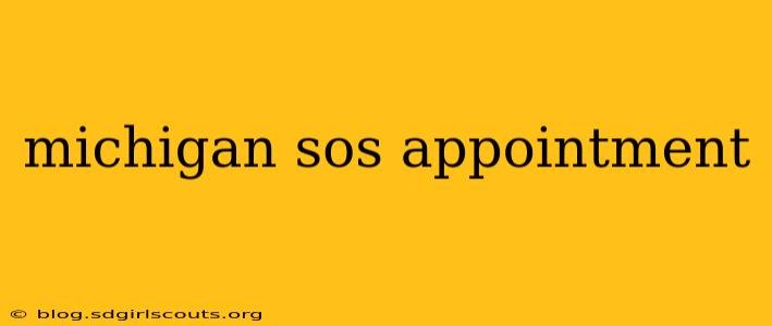 michigan sos appointment