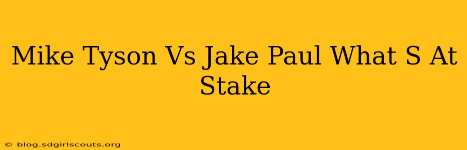 Mike Tyson Vs Jake Paul What S At Stake