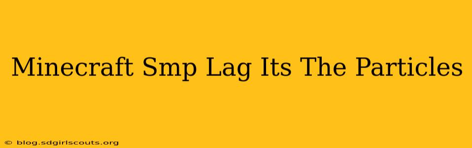Minecraft Smp Lag Its The Particles