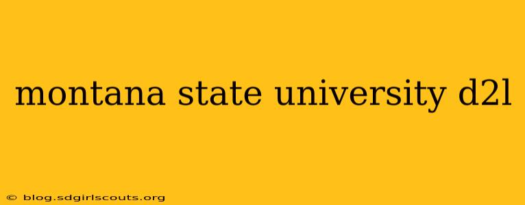 montana state university d2l