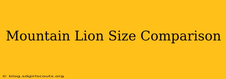 Mountain Lion Size Comparison