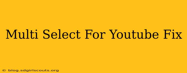 Multi Select For Youtube Fix