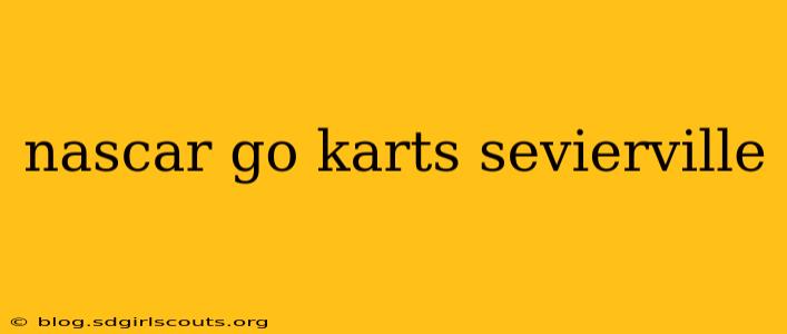 nascar go karts sevierville