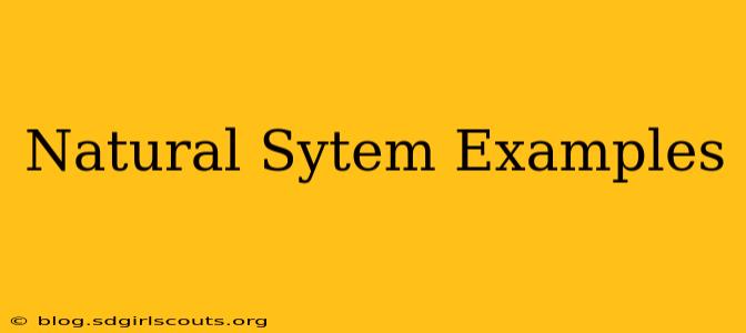 Natural Sytem Examples