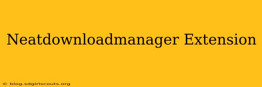 Neatdownloadmanager Extension